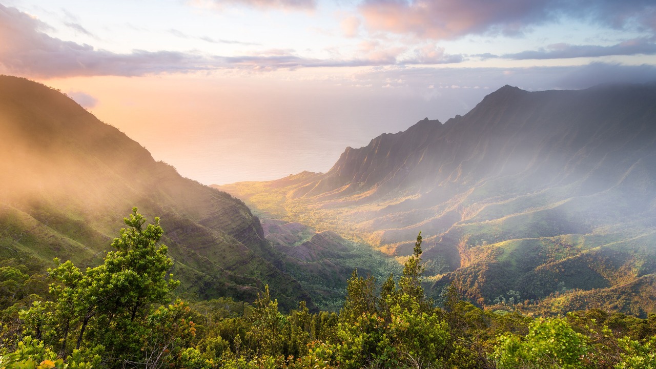 Photo of Others in Wailua