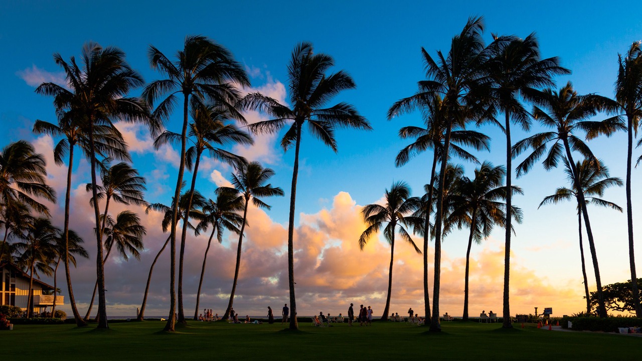 Photo of Others in Wailua