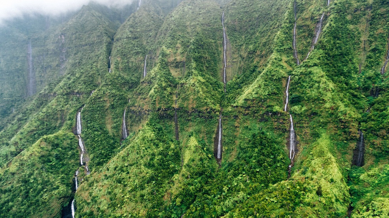 Photo of Others in Wailua House Lots
