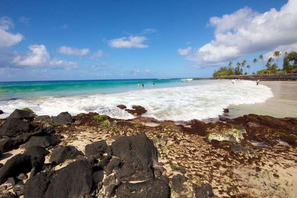 Photo of Others in Poipu