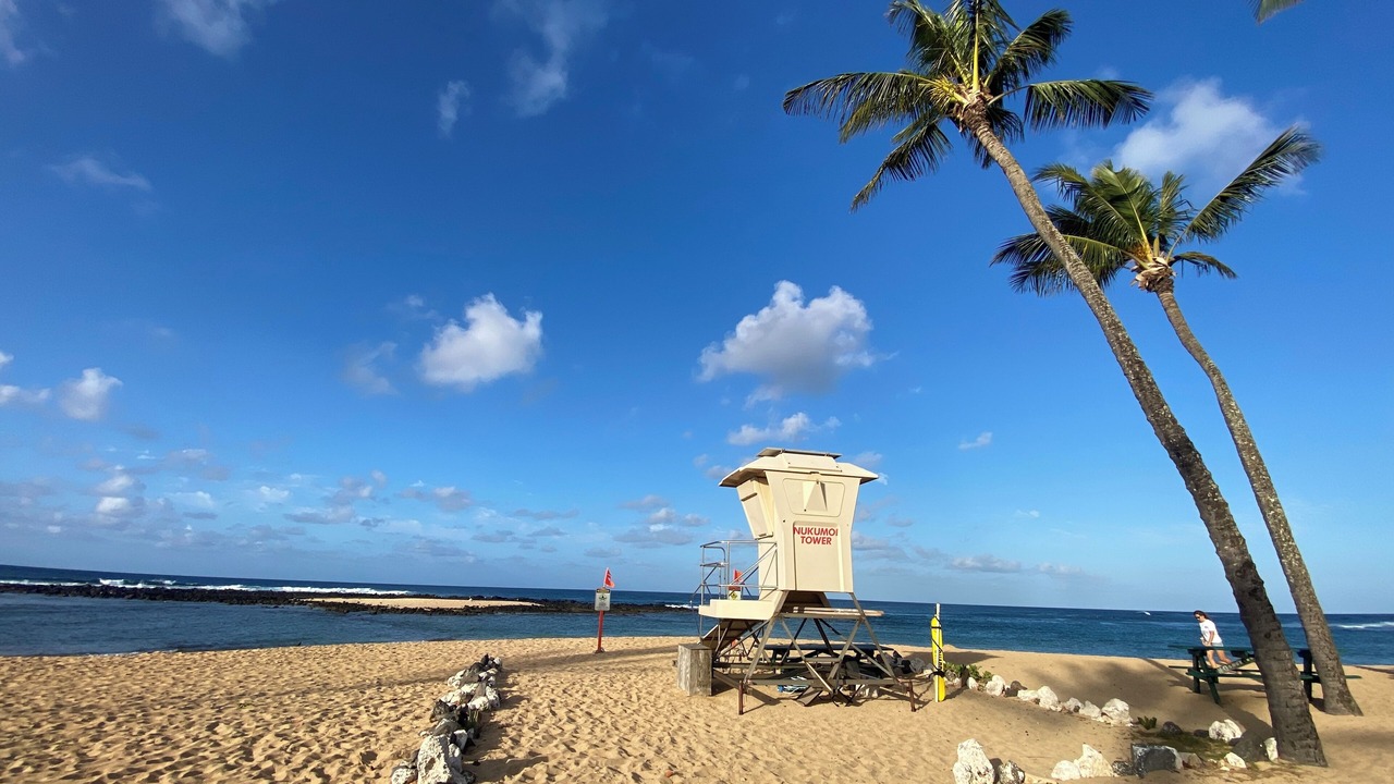 Photo of Others in Poipu