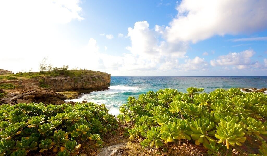 Photo of Others in Poipu