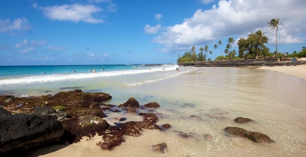 Photo of Others in Poipu