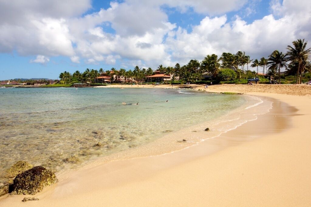 Photo of Others in Poipu