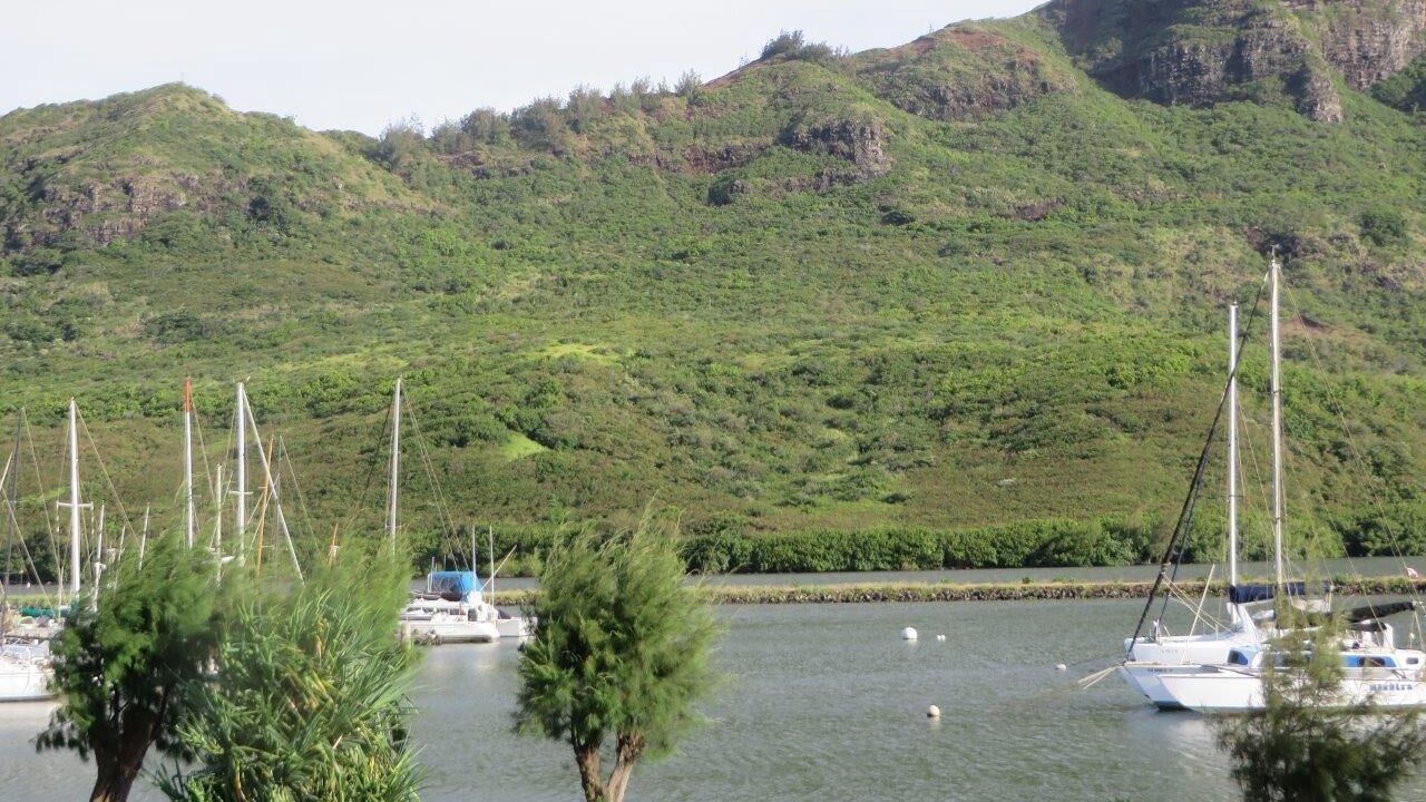 Photo of Others in Nawiliwili