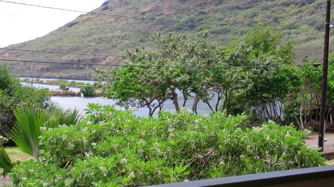 Photo of Others in Nawiliwili