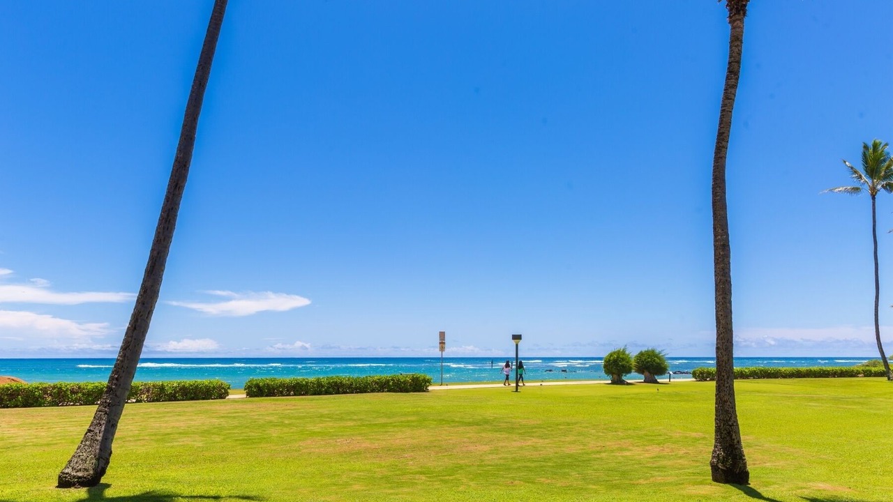 Photo of Others in Kapaa