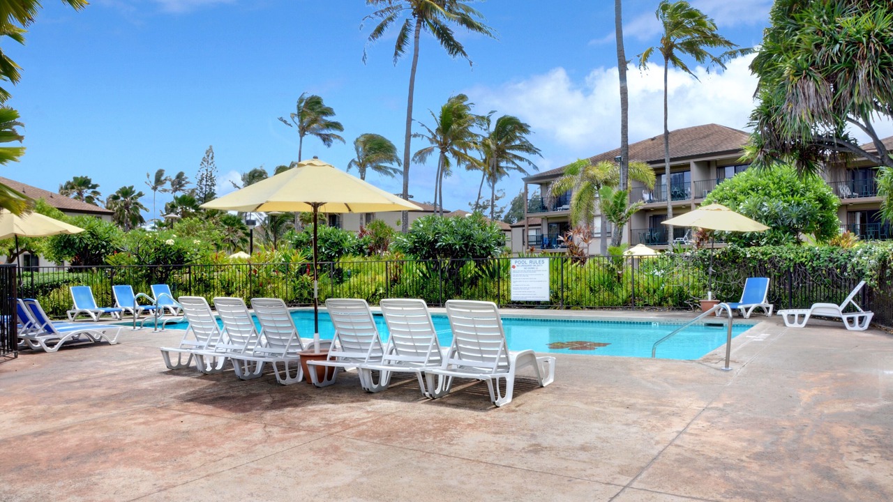 Photo of Outdoor in Kapaa