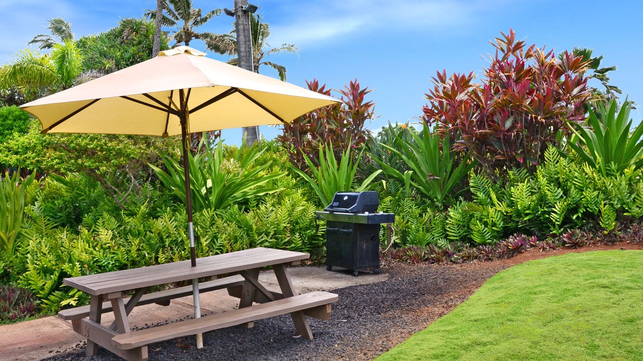 Photo of Others in Kapaa