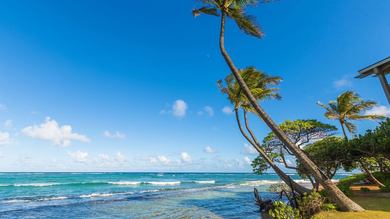 Photo of Others in Kapaa