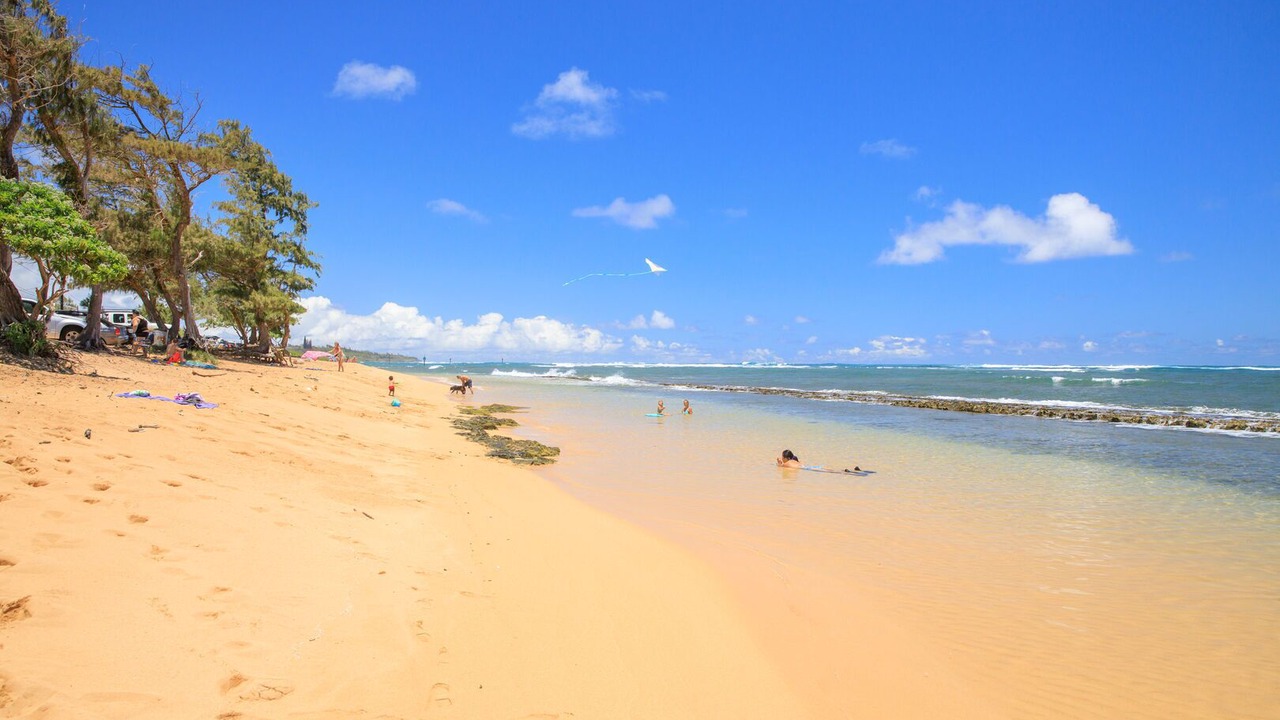 Photo of Others in Kapaa