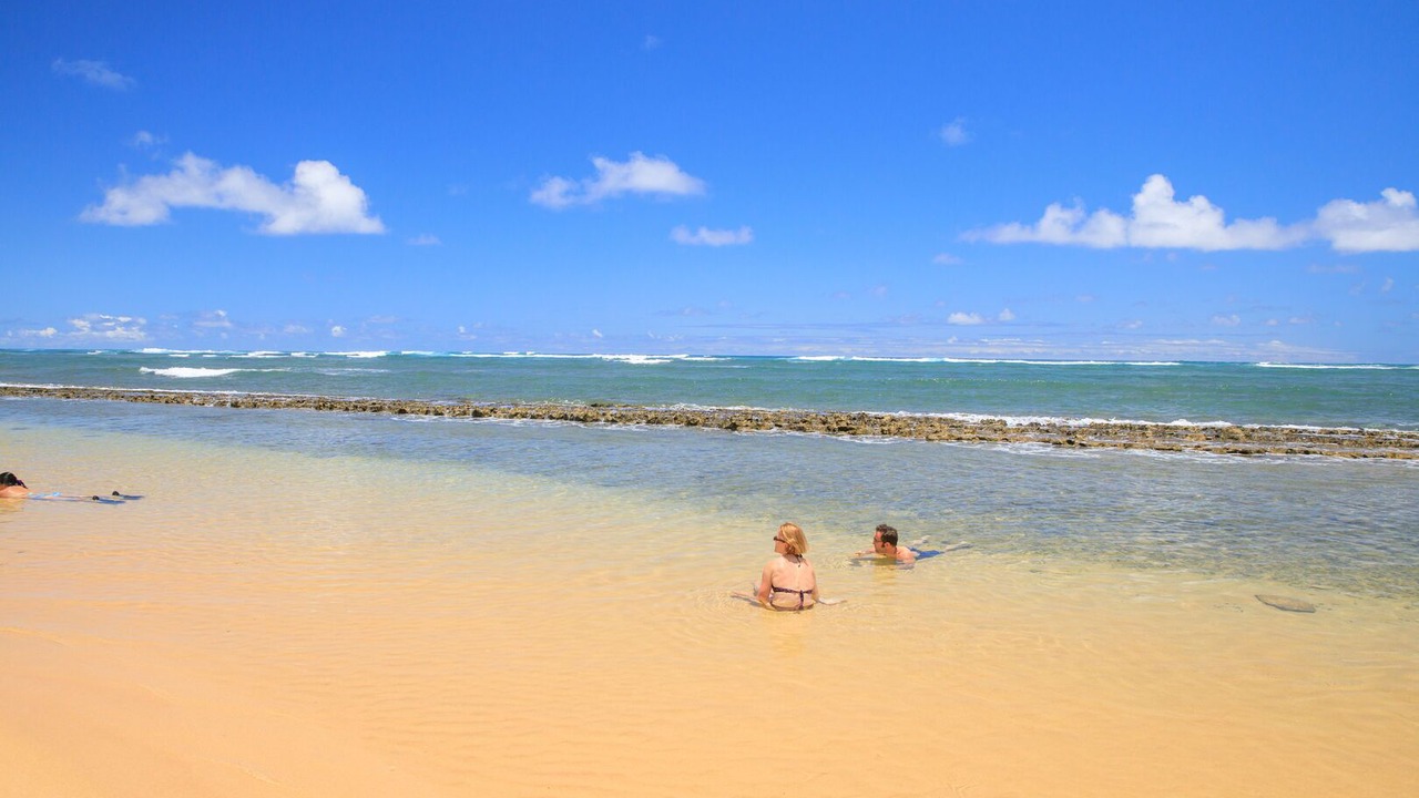 Photo of Others in Kapaa