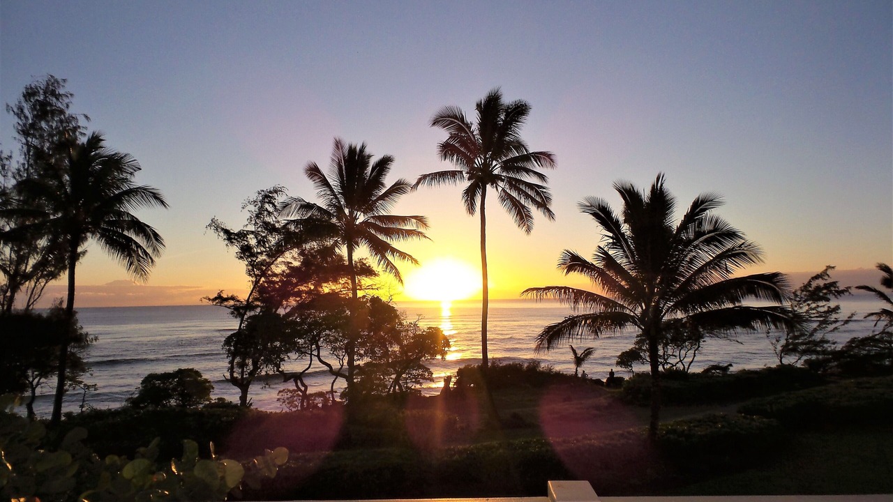 Photo of Patio Balcony in Lihue