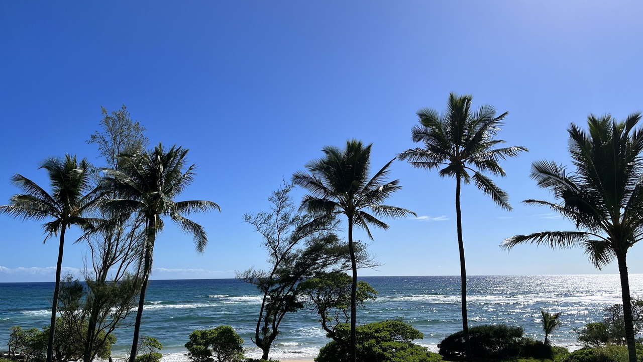 Photo of Others in Lihue