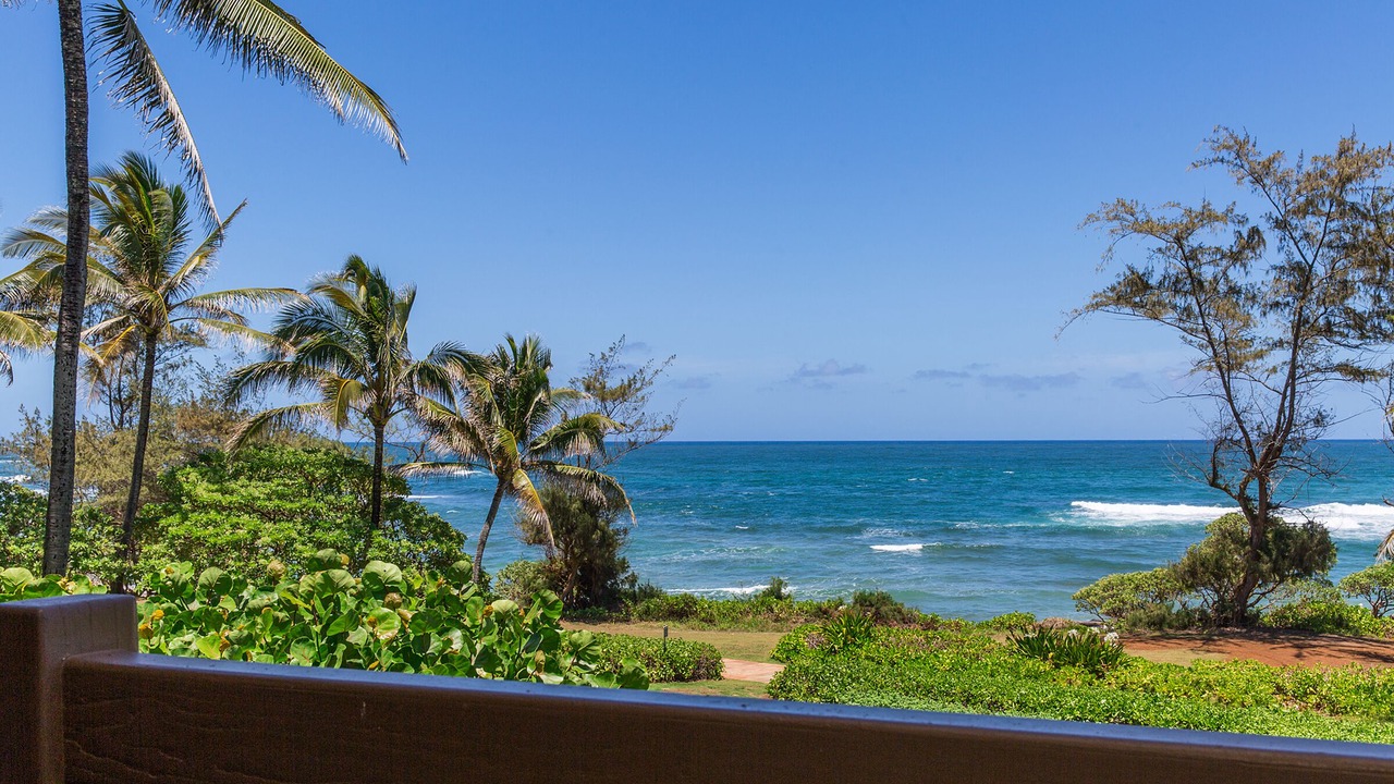 Photo of Others in Lihue
