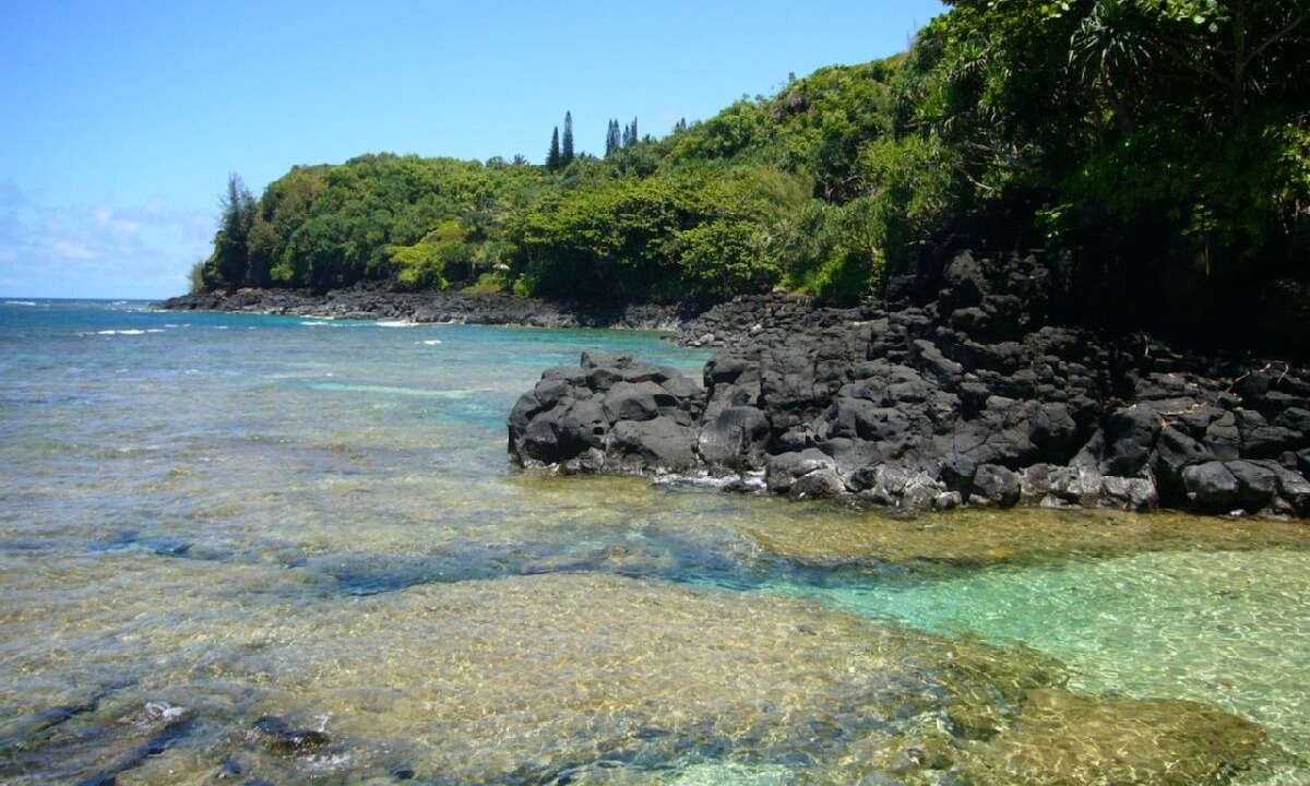Photo of Others in Princeville