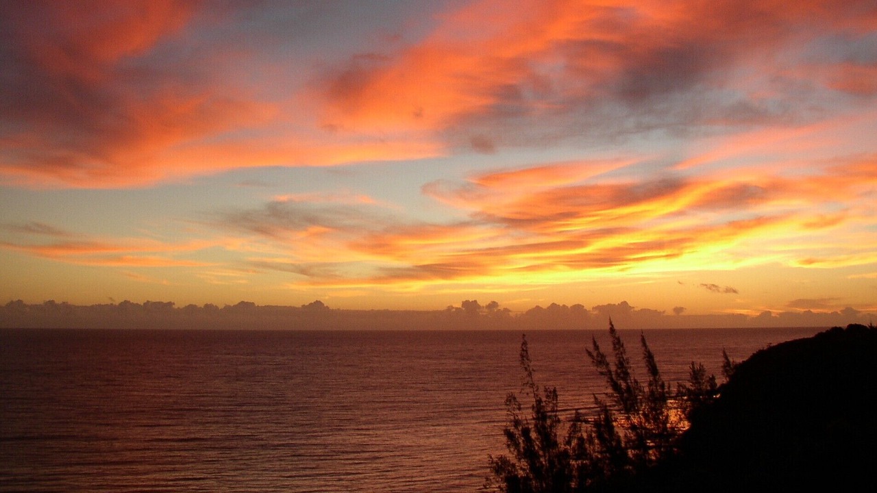 Photo of Others in Princeville