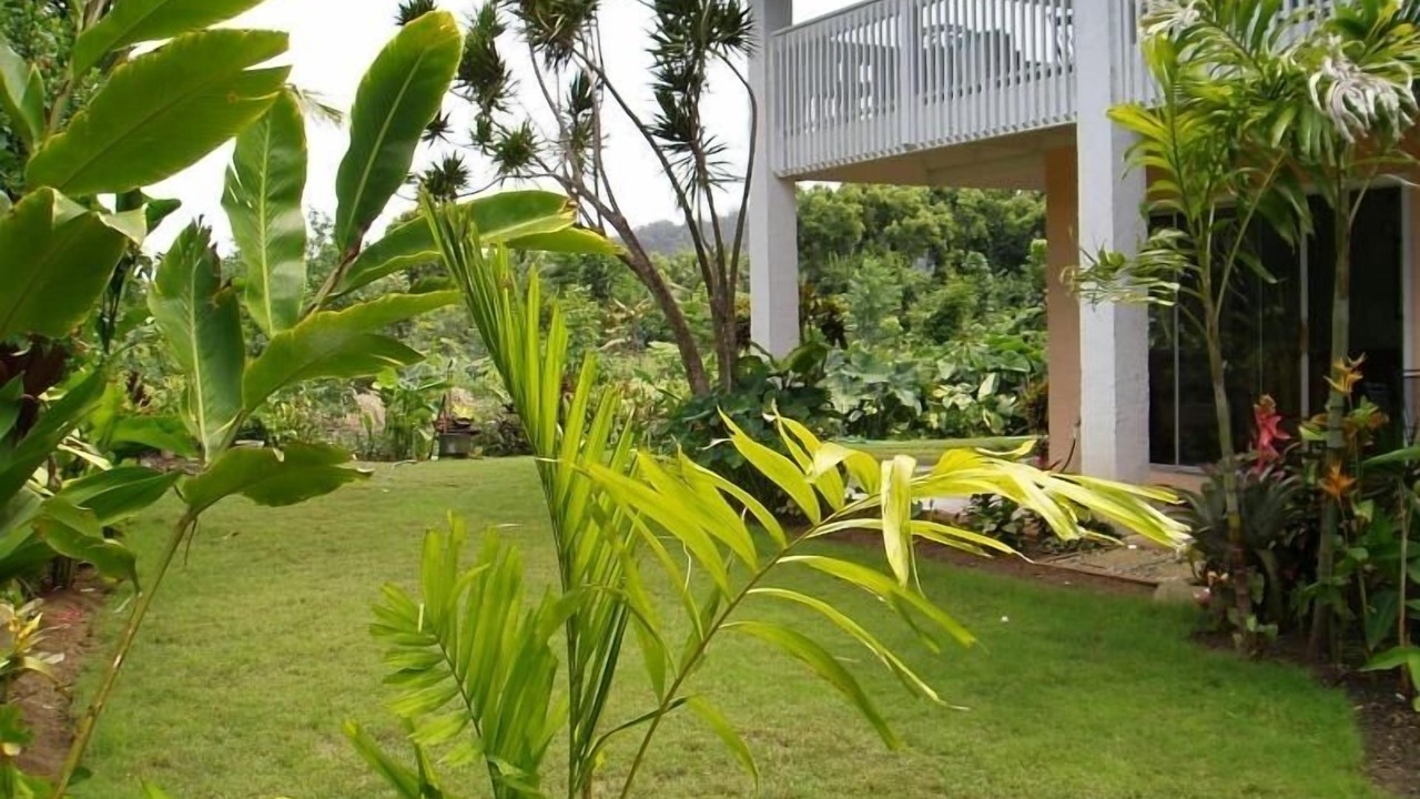 Photo of Others in Hanalei Palms