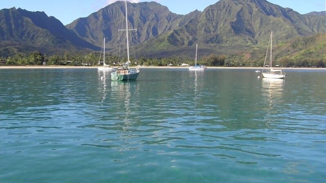 Photo of Others in Hanalei Palms