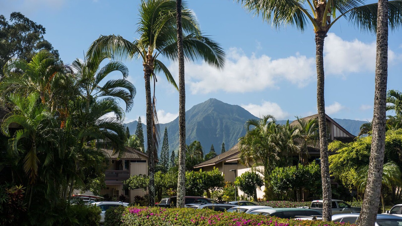 Photo of Others in Princeville