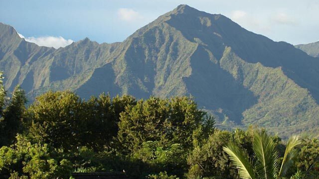 Photo of Others in Princeville