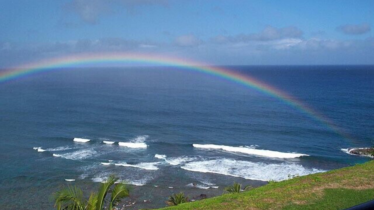 Photo of Others in Princeville