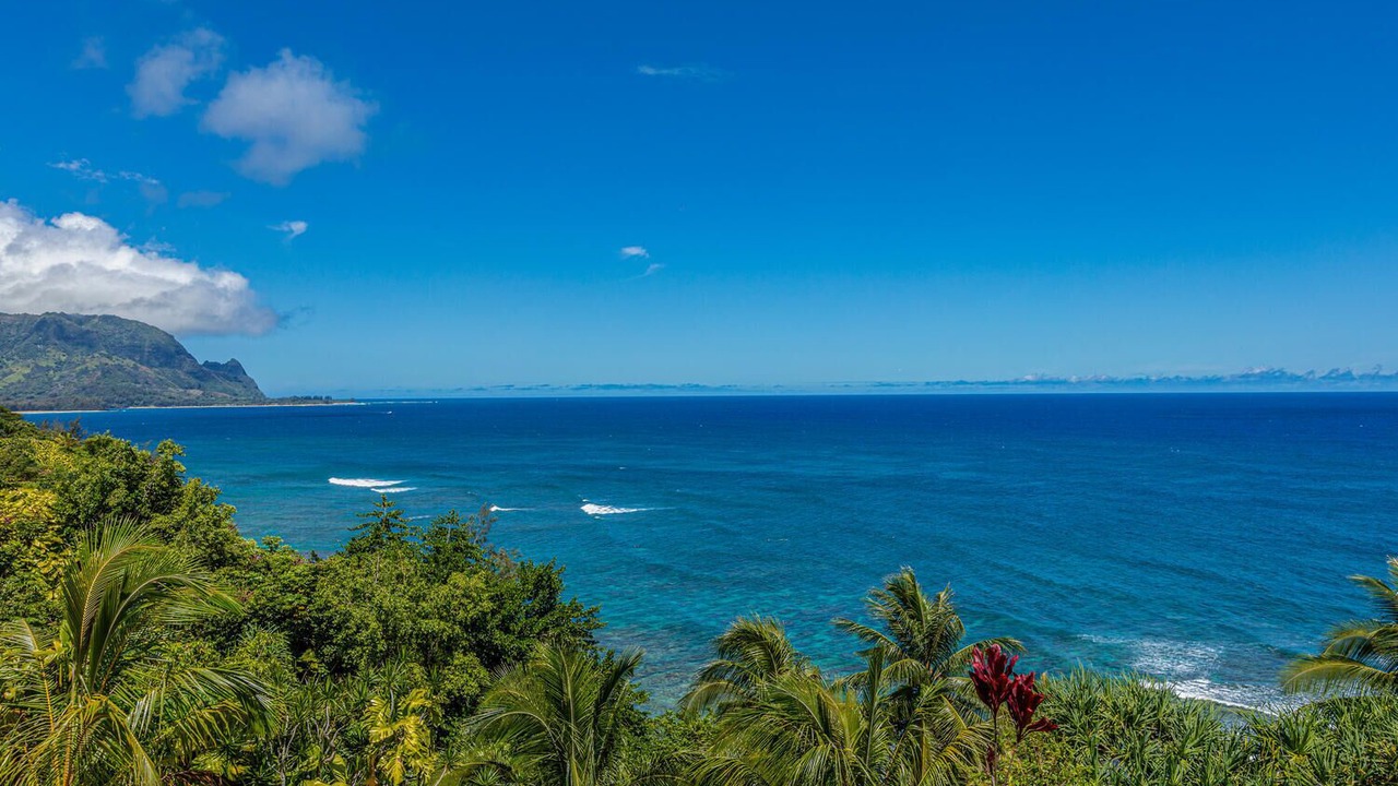 Photo of Others in Princeville
