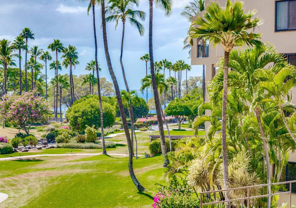 Photo of Outdoor in Kihei