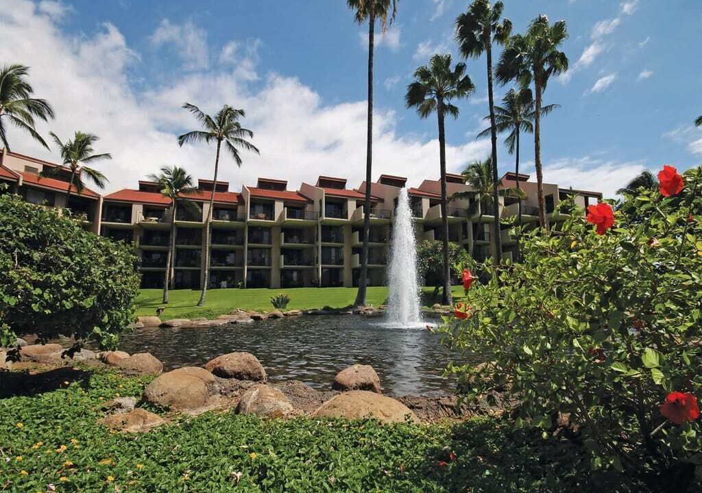 Photo of Outdoor in Kihei