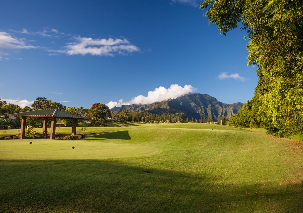 Photo of Others in Princeville