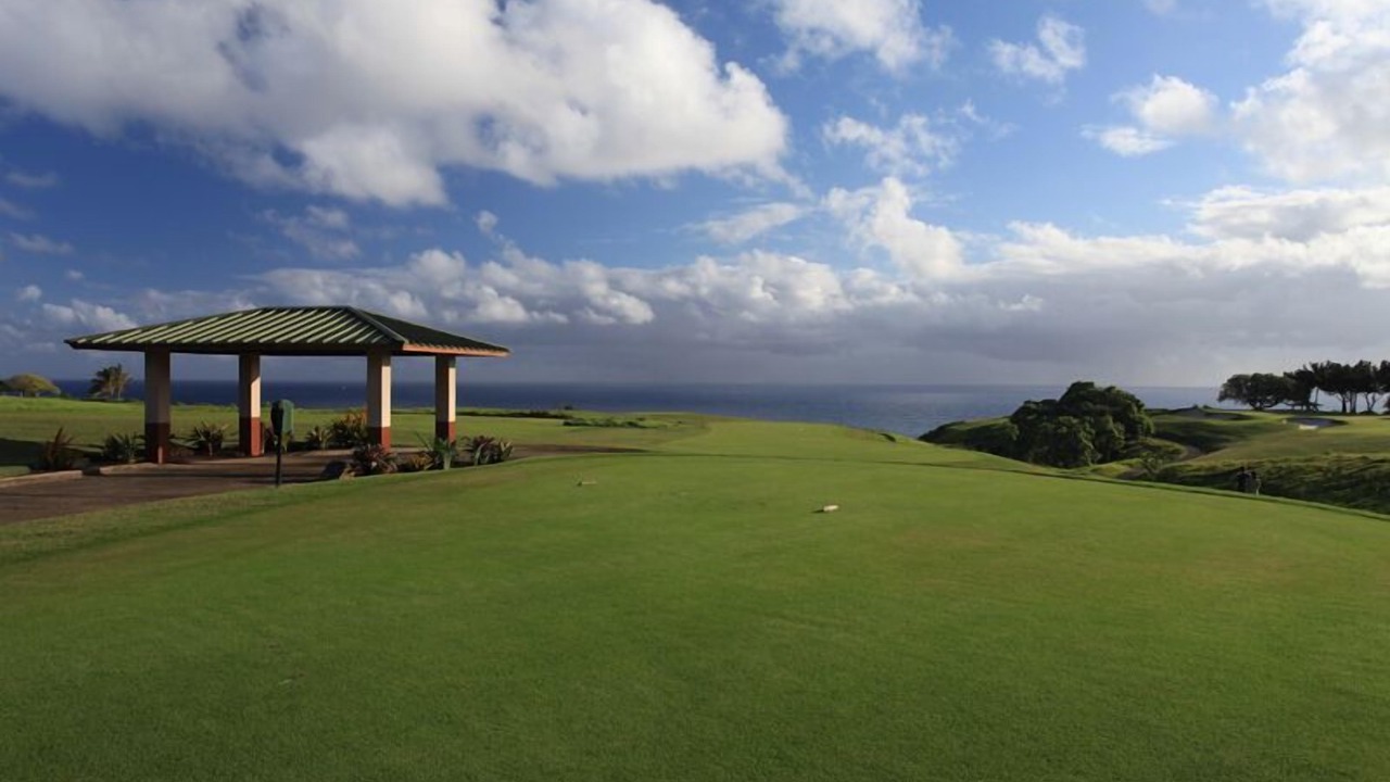 Photo of Others in Princeville