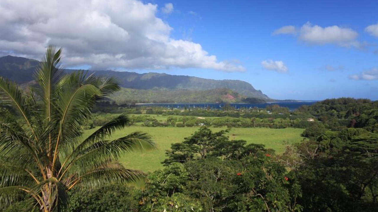 Photo of Others in Princeville