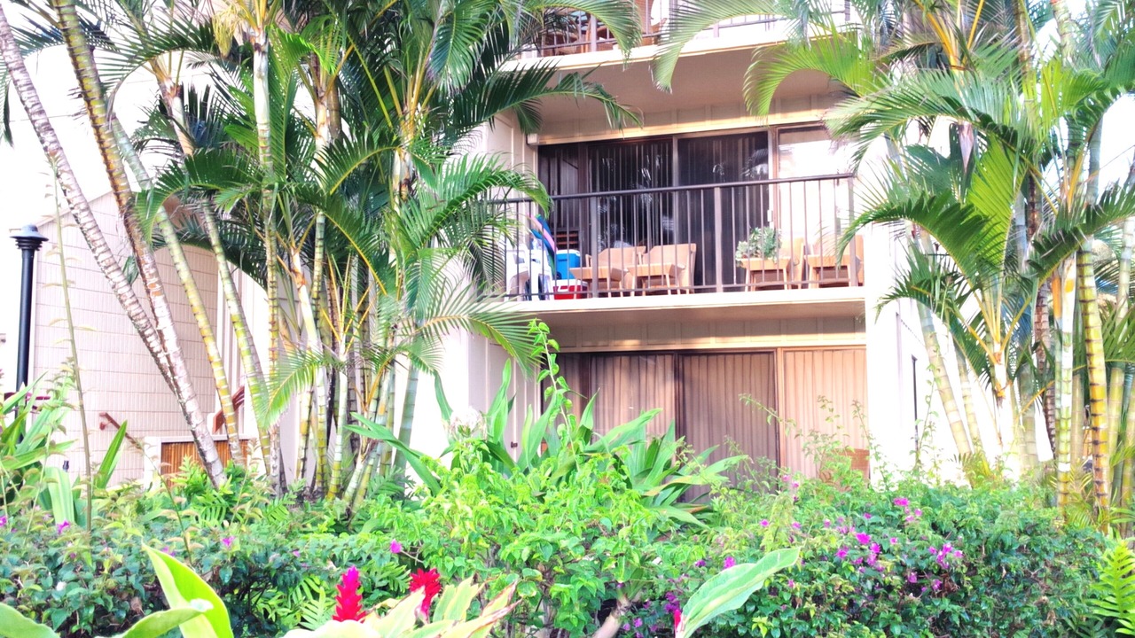 Photo of Others in Hanamaulu