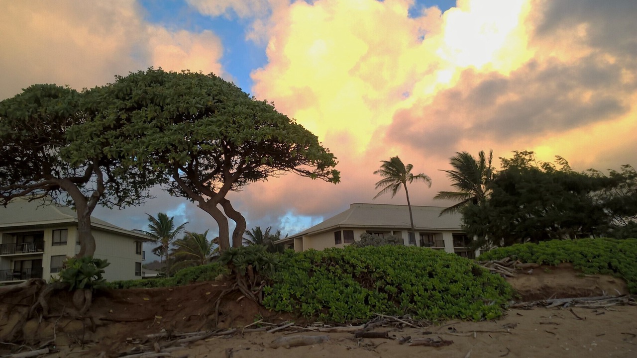 Photo of Others in Hanamaulu