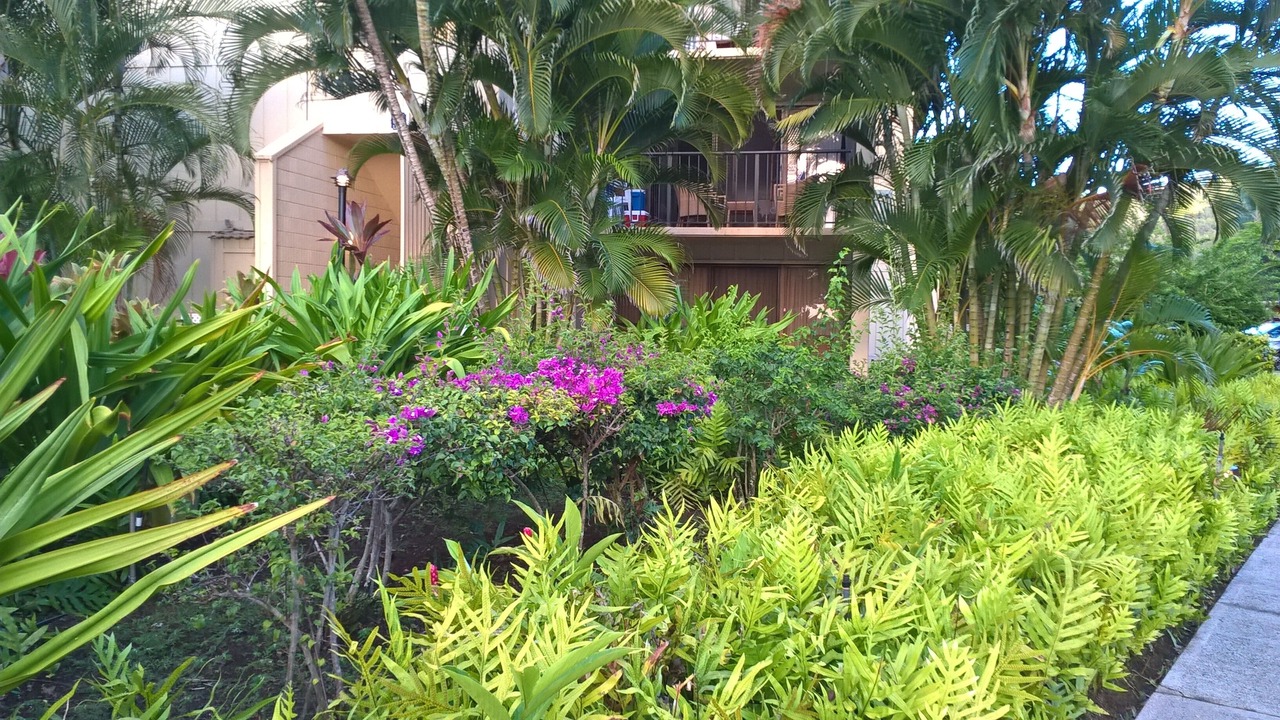 Photo of Others in Hanamaulu
