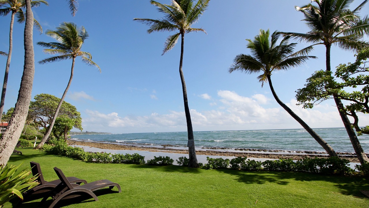 Photo of Others in Wailua