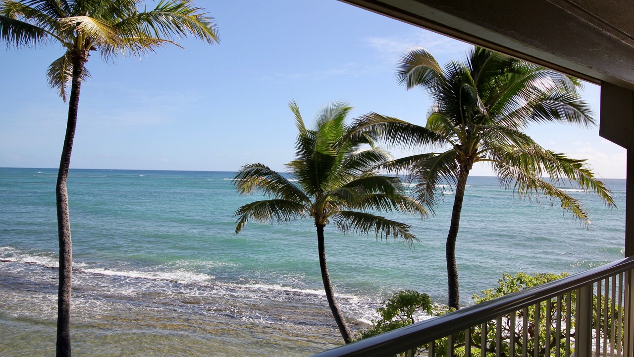 Photo of Outdoor in Wailua