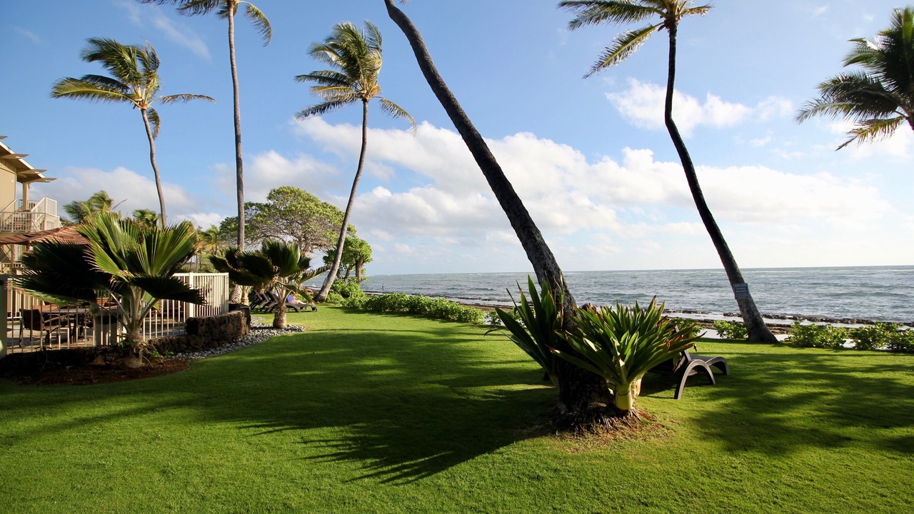 Photo of Outdoor in Wailua