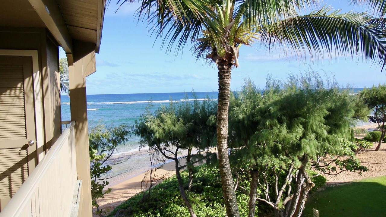 Photo of Others in Wailua