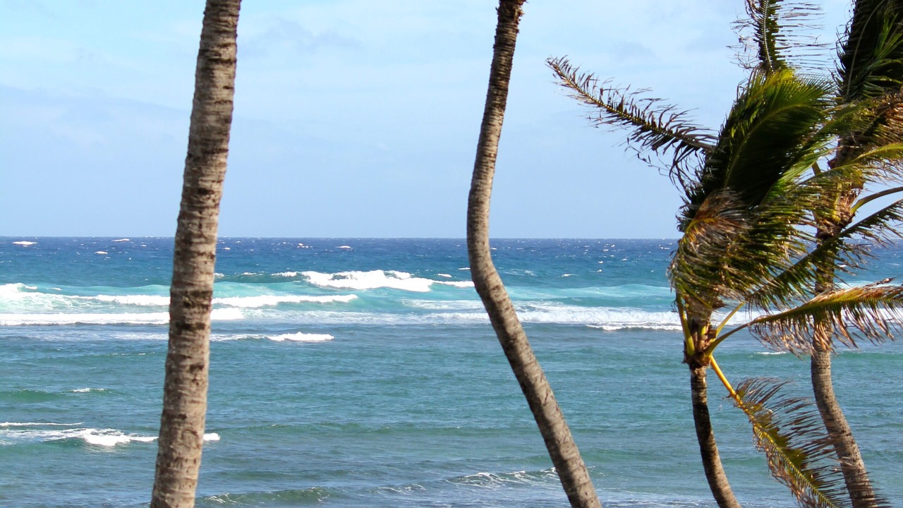 Photo of Others in Wailua
