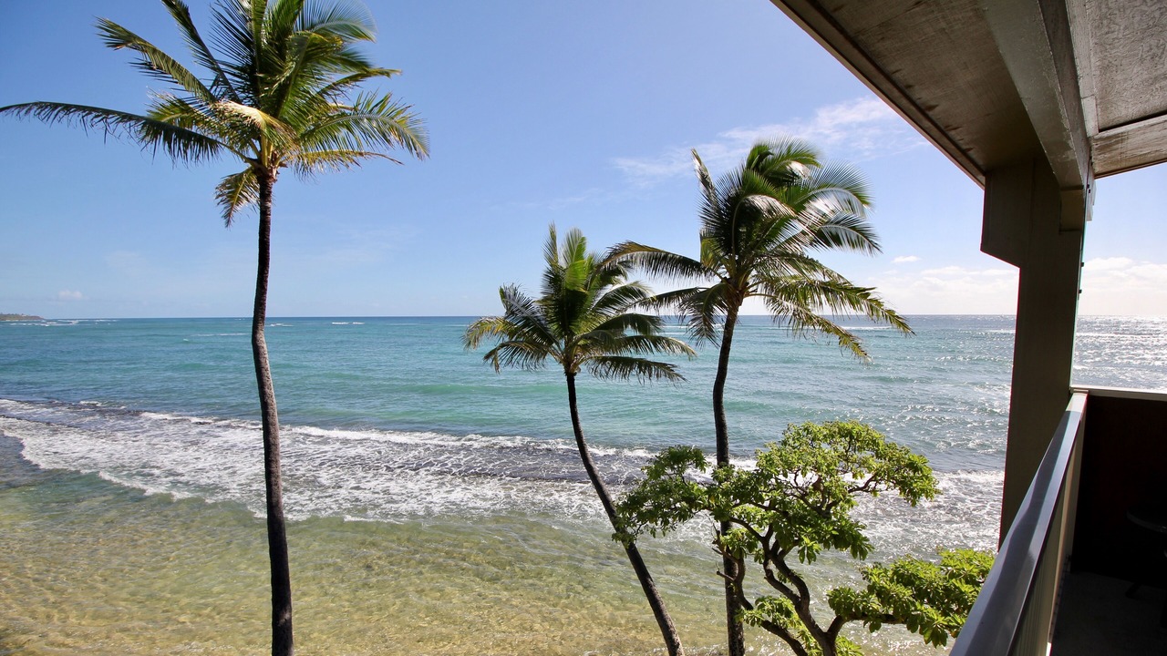 Photo of Others in Wailua