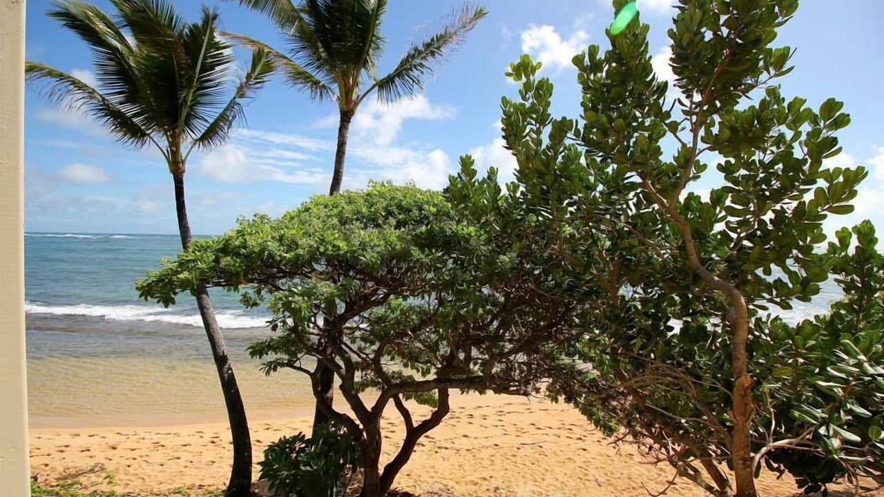Photo of Others in Wailua