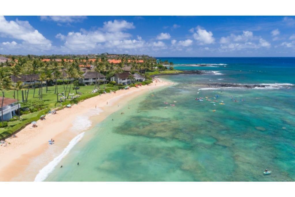 Photo of Others in Poipu