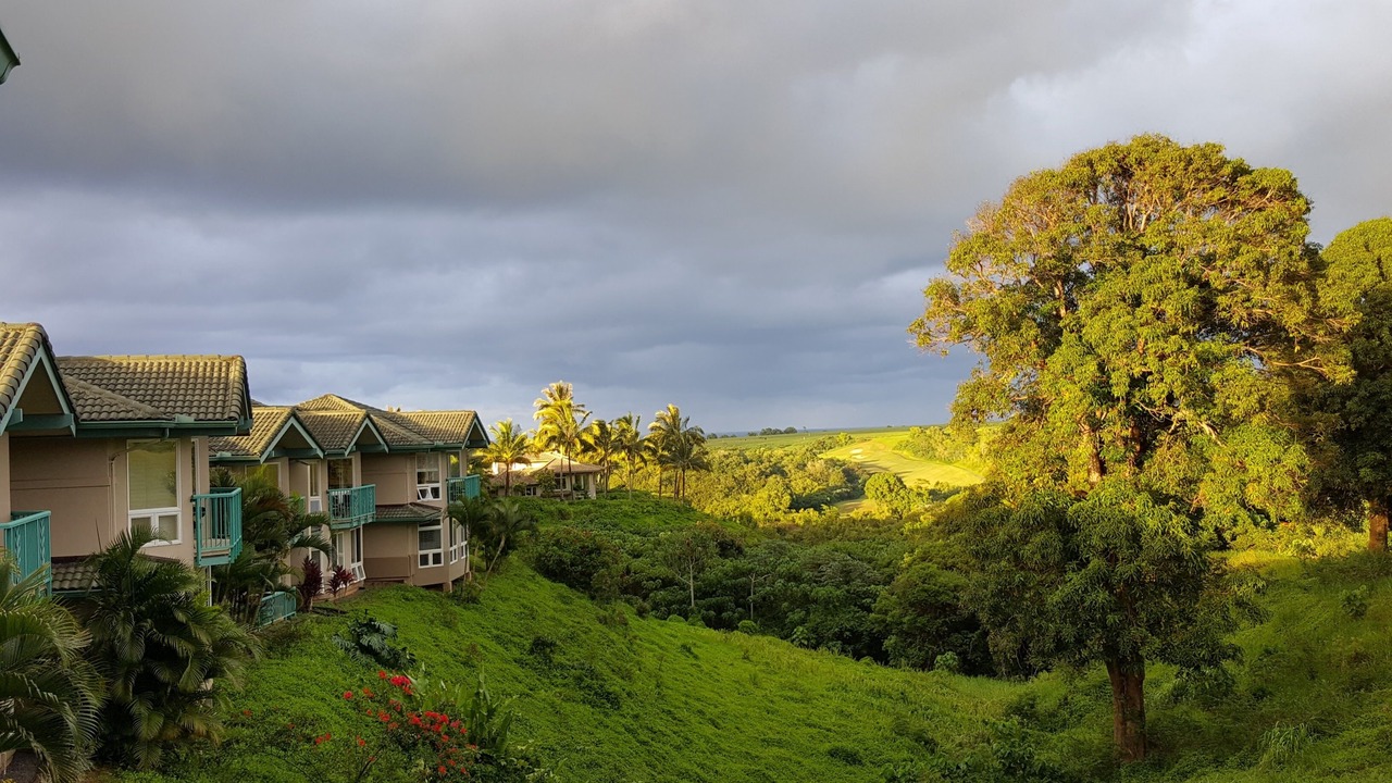 Photo of Others in Kaiulani