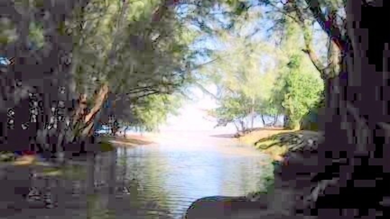 Photo of Others in Kilauea