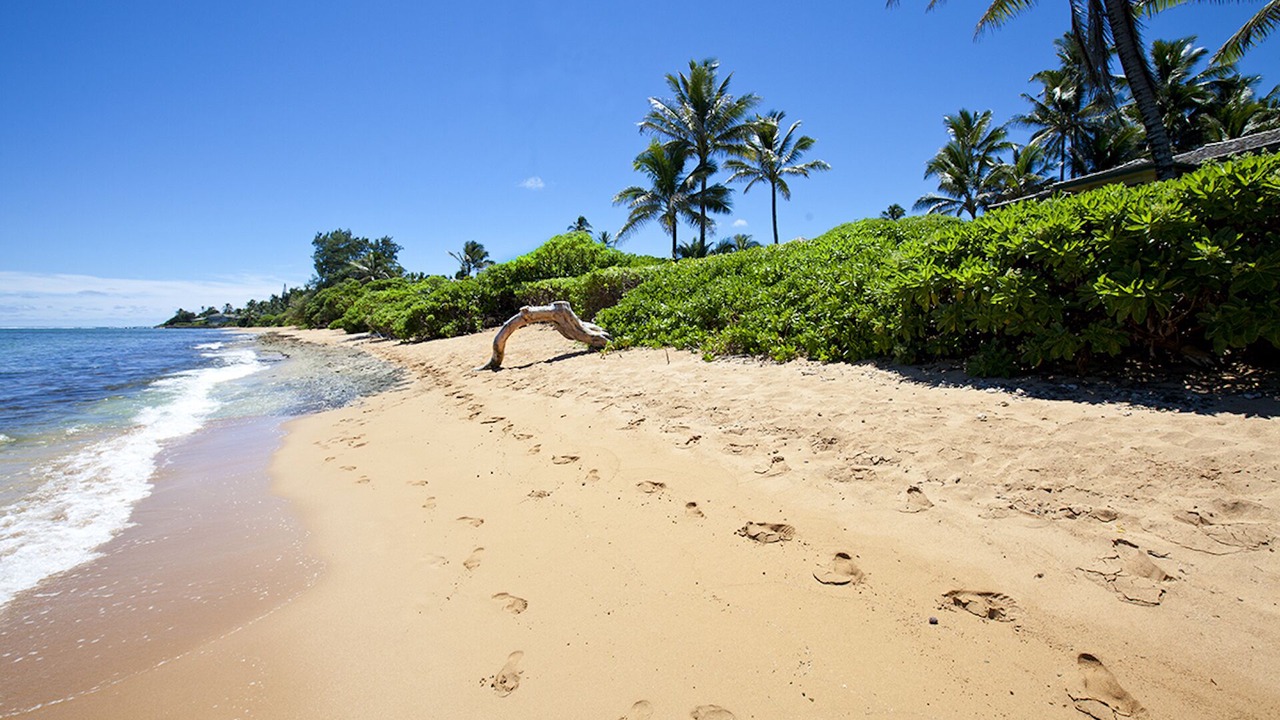Photo of Others in Anahola