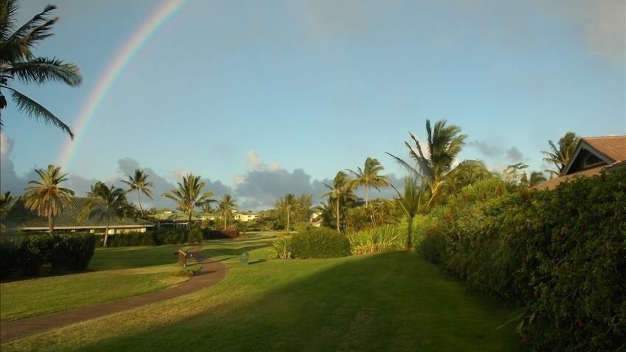 Photo of Others in Poipu
