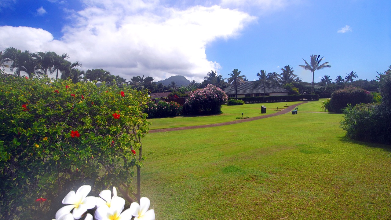 Photo of Outdoor in Poipu