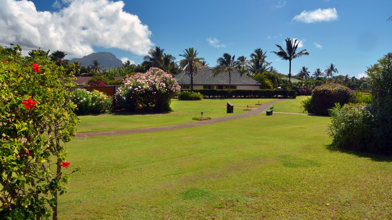 Photo of Others in Poipu
