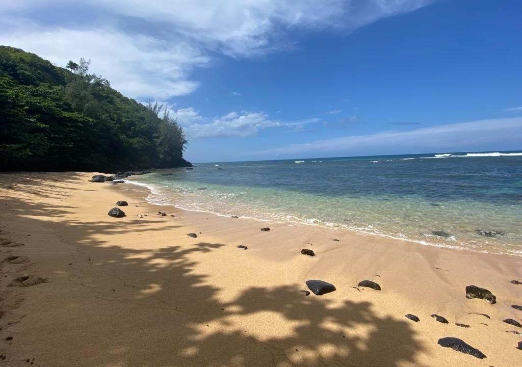 Photo of Others in Princeville